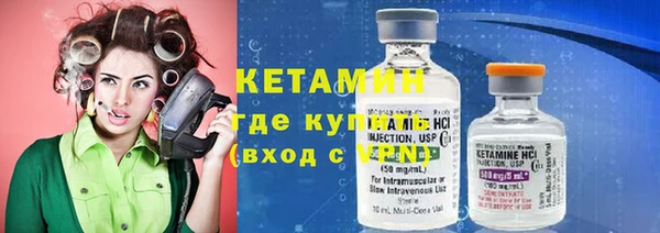 хмурый Няндома