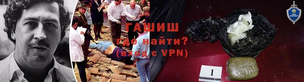 гашик Осинники