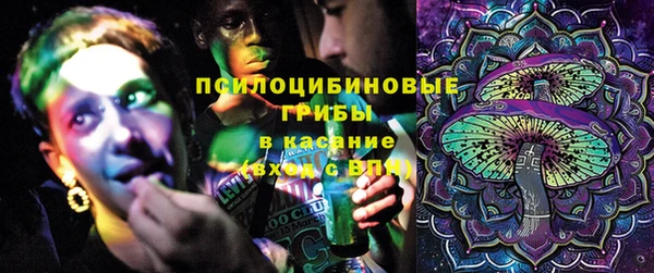 хмурый Няндома