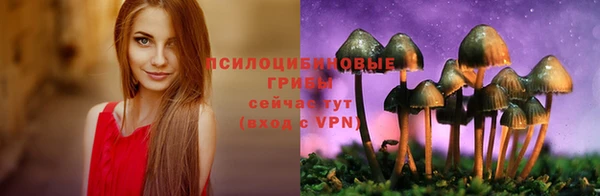 хмурый Няндома