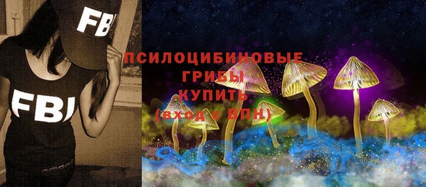 прущая мука Остров