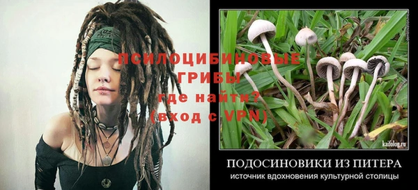 гашик Осинники