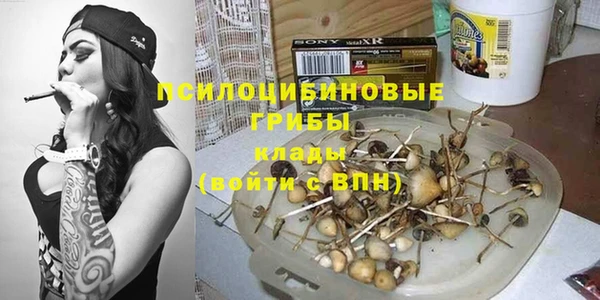 хмурый Няндома