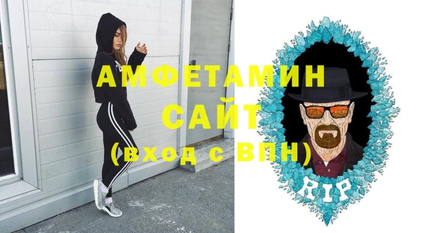 гашик Осинники