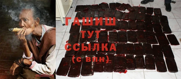 гашик Осинники