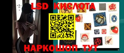 стаф Заводоуковск