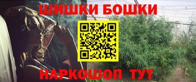 стаф Заводоуковск
