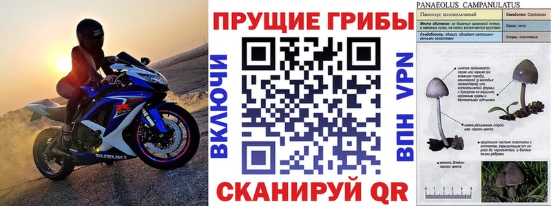 Галлюциногенные грибы прущие грибы наркотики MEGA как зайти Искитим
