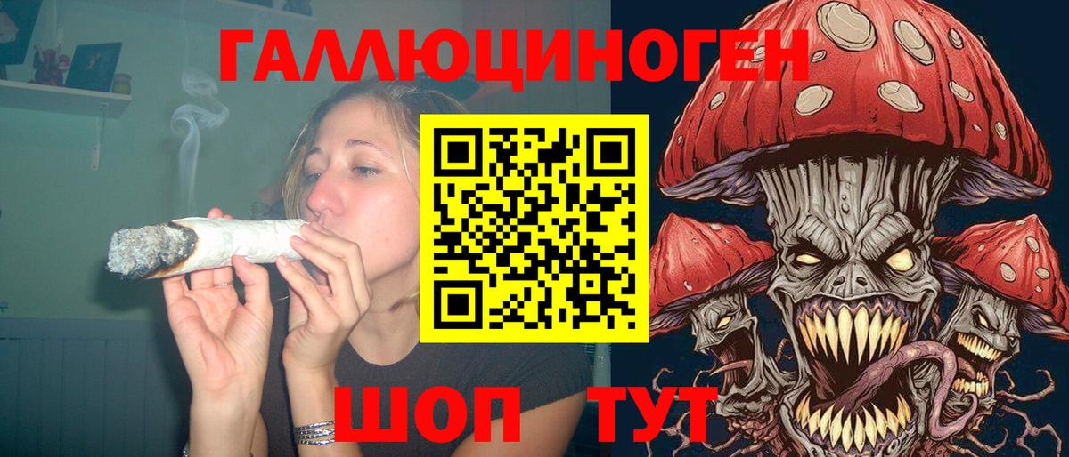 Искитим  Галлюциногенные грибы MAGIC MUSHROOMS  купить  цена  Вход с VPN 