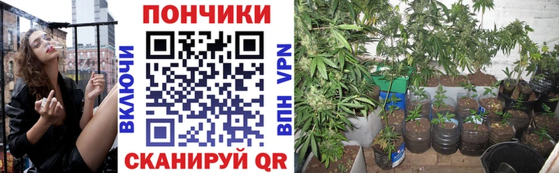 Марихуана индика  купить закладку  Искитим 